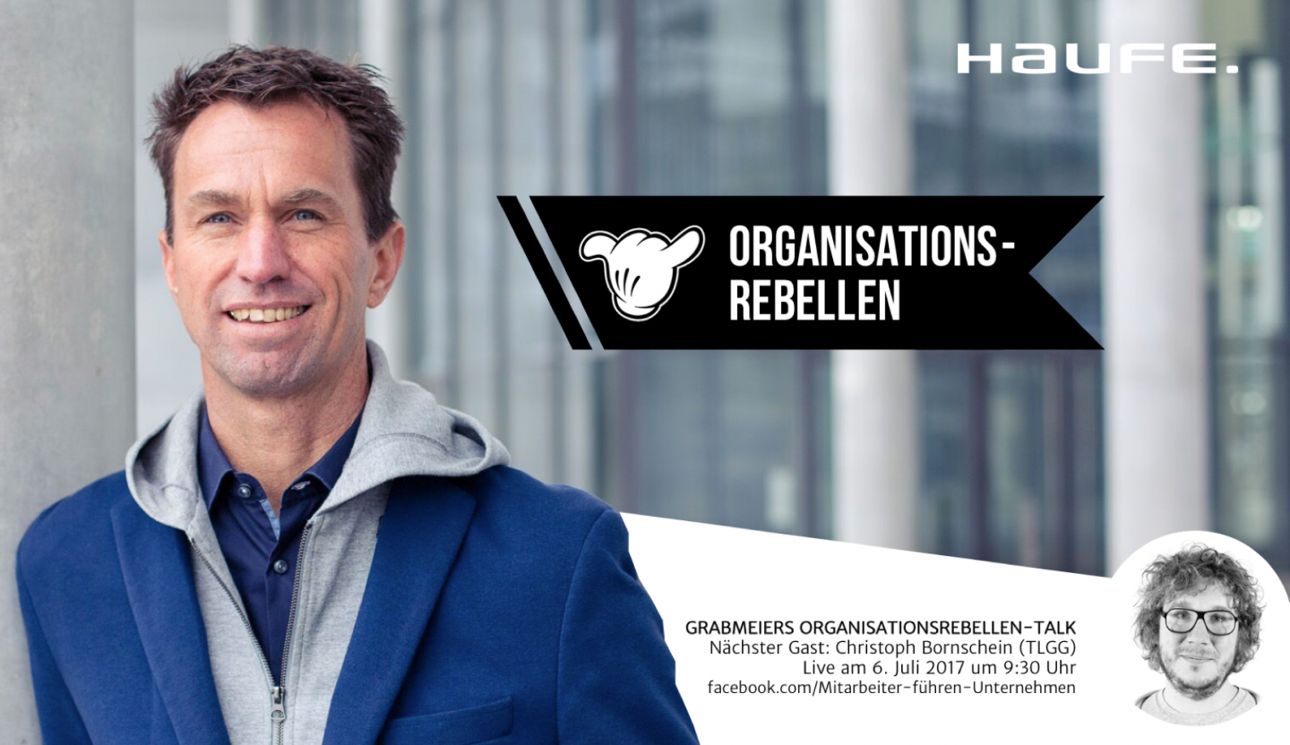 Die Organisationsrebellen