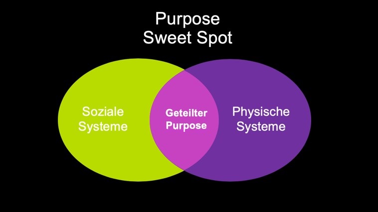 Purpose Sweet Spot als Schnittmenge aus Organisationsmotivation und Individueller Motivation