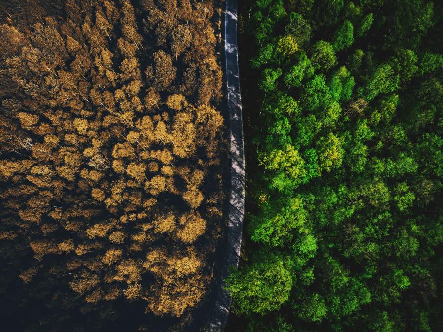 In Transition: Wie große Transformationen gelingen