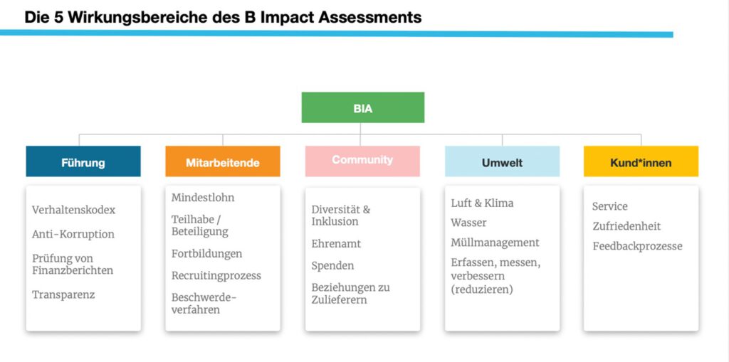 B Corporation Impact Assessment