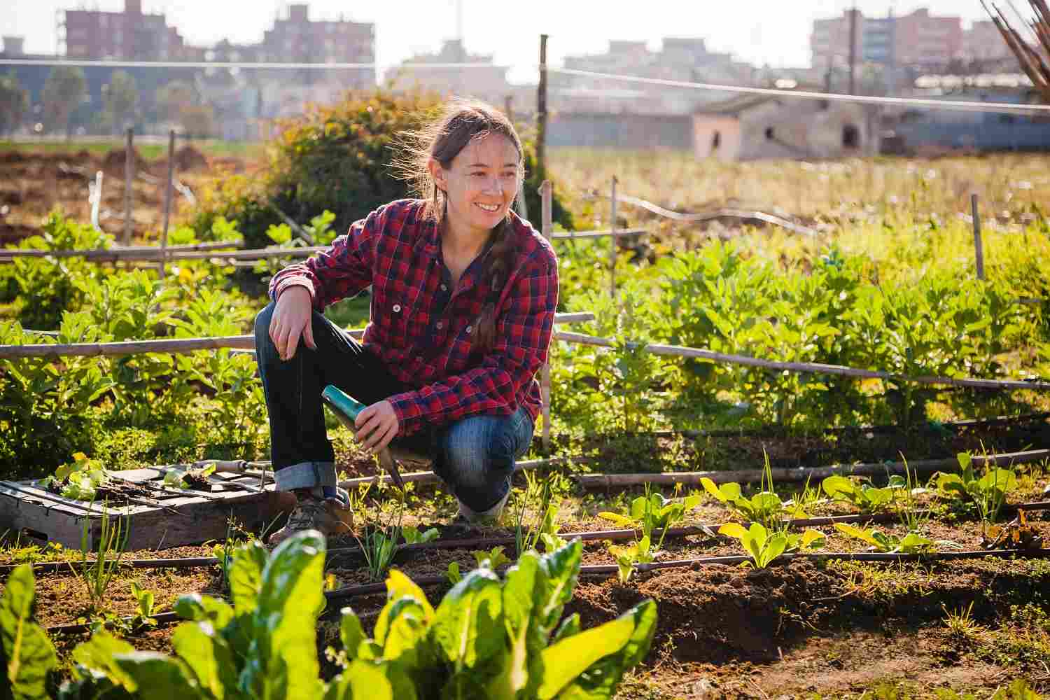 Frau gaertnert in Urban Garden auf Dach SDG in Unternehmen implementieren